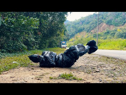 Dejo a su hermana en medio de la carretera para poder quedarse con todas sus propiedades