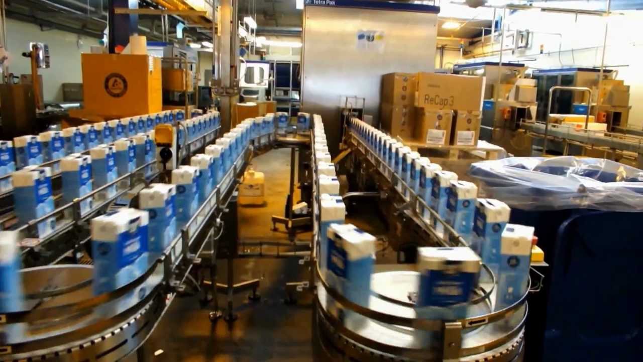 Dairy Hill Long Life UHT Milk video of packaging production process