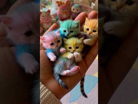 Rainbow Kittens🌈 #shorts #youtubeshorts #foryou #FluffyCats #CuteKittens #funny #dance #shortsfeed