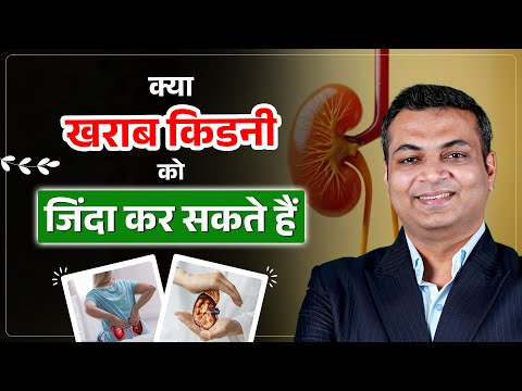 क्या आयुर्वेदिक या घरेलू उपचार से किडनी ठीक हो सकती है | Can Kidneys Recover from Damage in Hindi