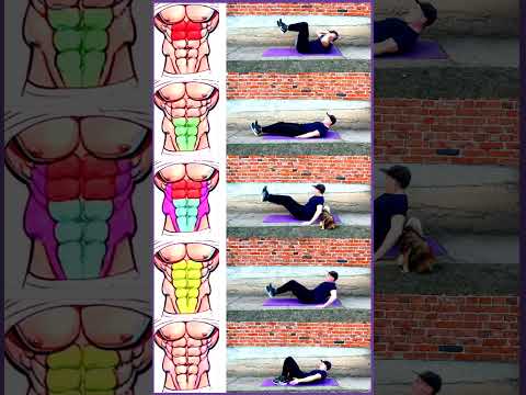 six pack abs exercises at home #shorts #abs #sixpackabs #absexercise #absworkout