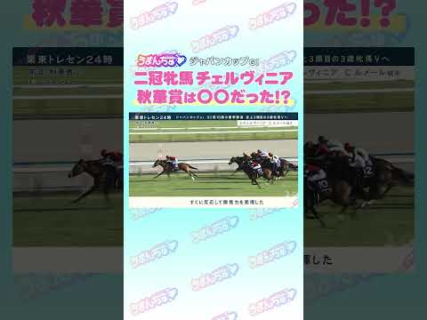 ジャパンカップGⅠ トレセン直撃取材！　#競馬 #ルメール #うまんちゅ #ジャパンカップ #チェルヴィニア