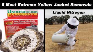 Top 5 Most Extreme Yellowjacket Removals - Liquid Nitrogen, Ozone Gas, Gopher Smoke and More...