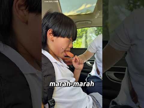 Cuma Karena Sosis, Satu Mobil Heboh! 😱🌭😅
