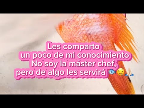 Viudo de pesacado, fácil rápido & delicioso 😍 cocinando con Barbie 🩷