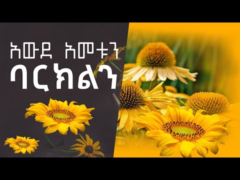 🌼#አውደ_አመቱን_ባርክልን አዲስ ዝማሬ ለአዲሱ አመት New_Year_Mezmur @zemarisolomon