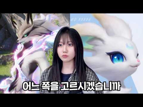 애니모 대단합니다
