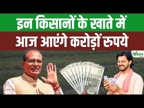 PM Fasal Bima Yojana: Shivraj Singh Chouhan किसानों को देंगे 3200 करोड़ | Modi Government |Rajasthan