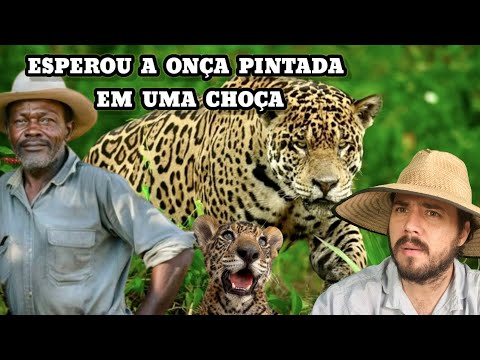 O Caboclo esperou a Onça Pintada no chão em uma Choça, a 15 metros de distância