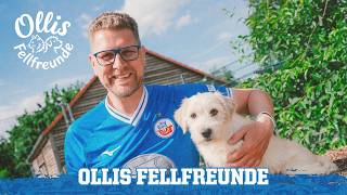 🐶 Ollis Fellfreunde #1 | F.C. Hansa Rostock Stiftung