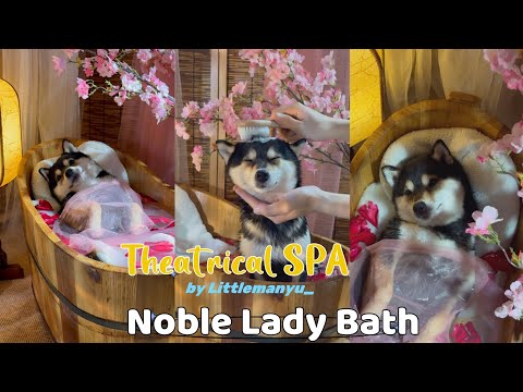 【Theatrical SPA】Noble Lady Emerging from Bath | Lady Manyu & Maid Bai