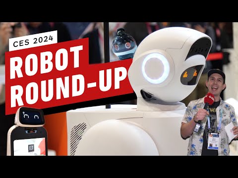 The Robots We Saw at CES 2024