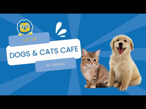 Dogs and Cats Cafe in Taiwan? // Adopt These Lovelies in Taipei