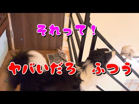 いつの間に愛が芽生えた? あの一瞬見ちゃったわ