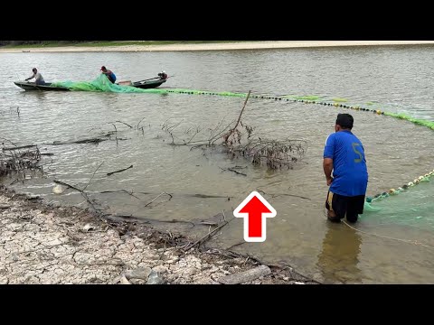 アマゾン河に沈む流木を網で囲って隠れた魚を全て引きずり出す