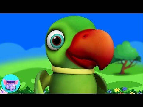 Main Tota Main Tota, मैं तोता मैं तोता, Hindi Rhymes for Children and Animated Cartoon