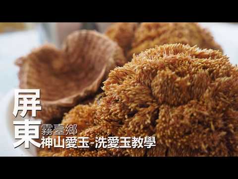 【霧臺】神山愛玉 洗愛玉篇