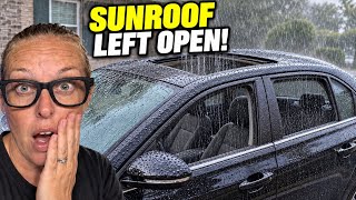 Windows & Sunroof Left Open in the Rain—How I Prevented Mold & Mildew For My Customer