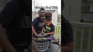 Here's how were growing food with a little budget