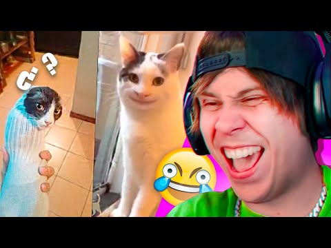 animales chistosos