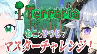 【Terarria】初心者でもマスターモードがやりたい！！！！#12【無言配信】