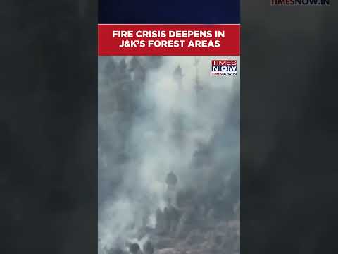 J&K: Massive Forest Fire Rages In Bandipora District | Watch Video #shorts