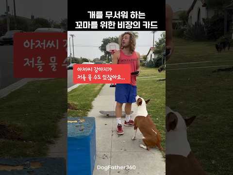 개를 무서워 하는 꼬마를 위한 비장의 카드