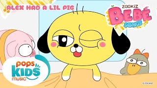Alex Had A Lil Pig | ZOOKiZ BeBé Song | POPS Kids Music Songs & Nursery Rhymes