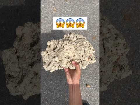 تحدي الحجر 😱