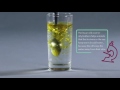 Understanding Oil and Water Interaction