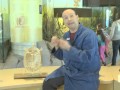 Turtle Anatomy and Behavior Questions