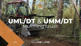 FAE UML/DT and FAE UMM/DT forestry mulchers on Merlo TreEmme VR150 and Chaptrack 280 tractors