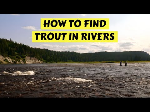 How to Find Trout in Rivers Part 1