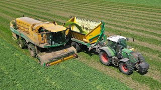 Erwten Dorsen | 3x Ploeger EPD 540 | Breure De Waard | 2025
