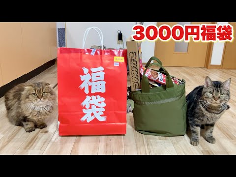 ドン・キホーテで売ってた3000円の猫用福袋を開封したら神だった