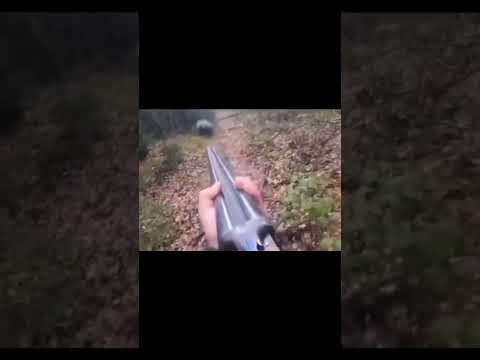 Absolutely terrifying #secondamendment #selfdefense