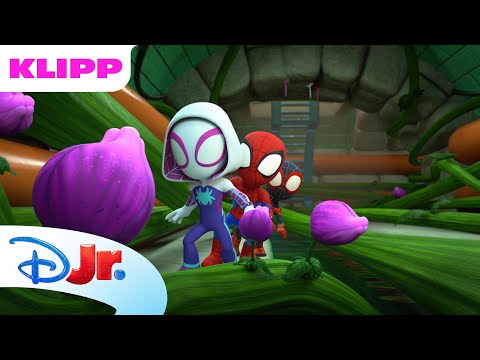 Kjempeplante | Spidey og hans fantastiske venner | Disney Junior Norge