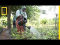 Adapting to Climate Change in Kakuta