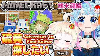 【Minecraft】硫黄を求めて冒険したい！人いなかったら違うことするかも✨⛏️【VTuber】