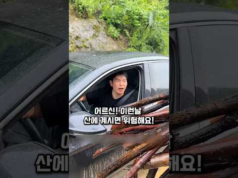 장대비를 맞으며 깊은 산길을 오르던 <strong>노인</strong> 앞에 차가 멈춘 이유 #감동