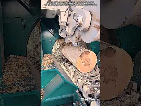 산업용 목재 파쇄기를 활용한 통나무 분쇄 및 목재 칩 생산 공정 #worker #process #woodworking #machinery #shredder