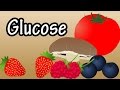 Understanding Glucose