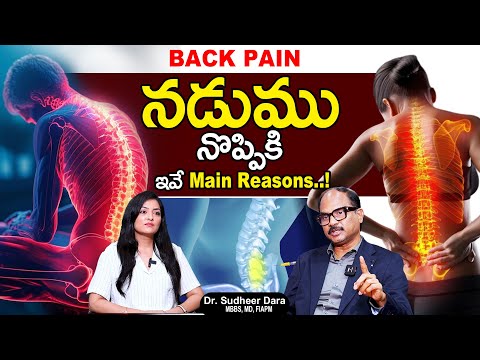 BACK PAIN : Cause Of Back Pain | Reason's & Fact's About Back Pain By Dr. Sudheer Dara