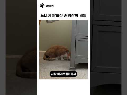 드디어 밝혀진 서랍장의 <strong>비밀</strong>