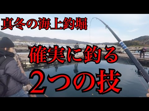 真冬の海上釣堀！確実に釣る２つの技！【じゃのひれ】釣ガチ海上釣堀#218