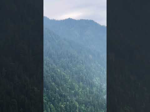 Mountains #nature #beautiful #mountains #love #viral #himachal #shortsfeed #shorts