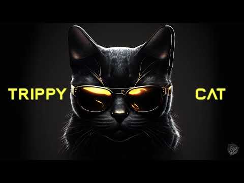 BLACK DARK MINIMAL TECHNO TRIPPY MIX 2025