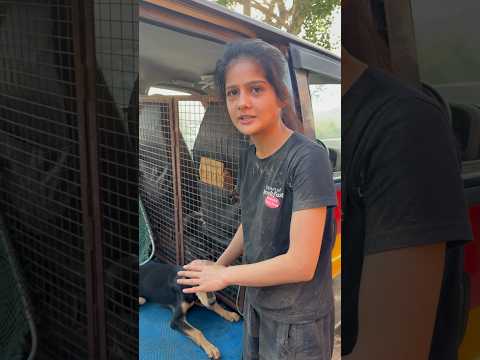 Ek din mein hi itne rescue ๐ #rescue #humanity #ytshorts
