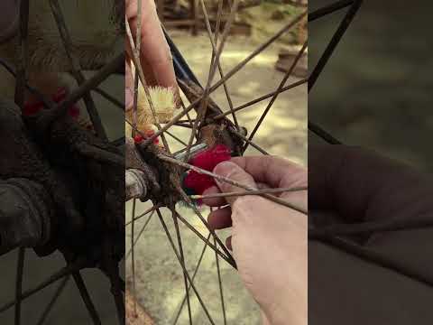 Restoring Childhood Dreams: Vintage Bicycle Makeover โ#OldMemories #VintageBicycle #Restoration