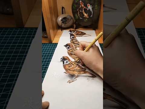 Americans Got Talent [realistic birds]
